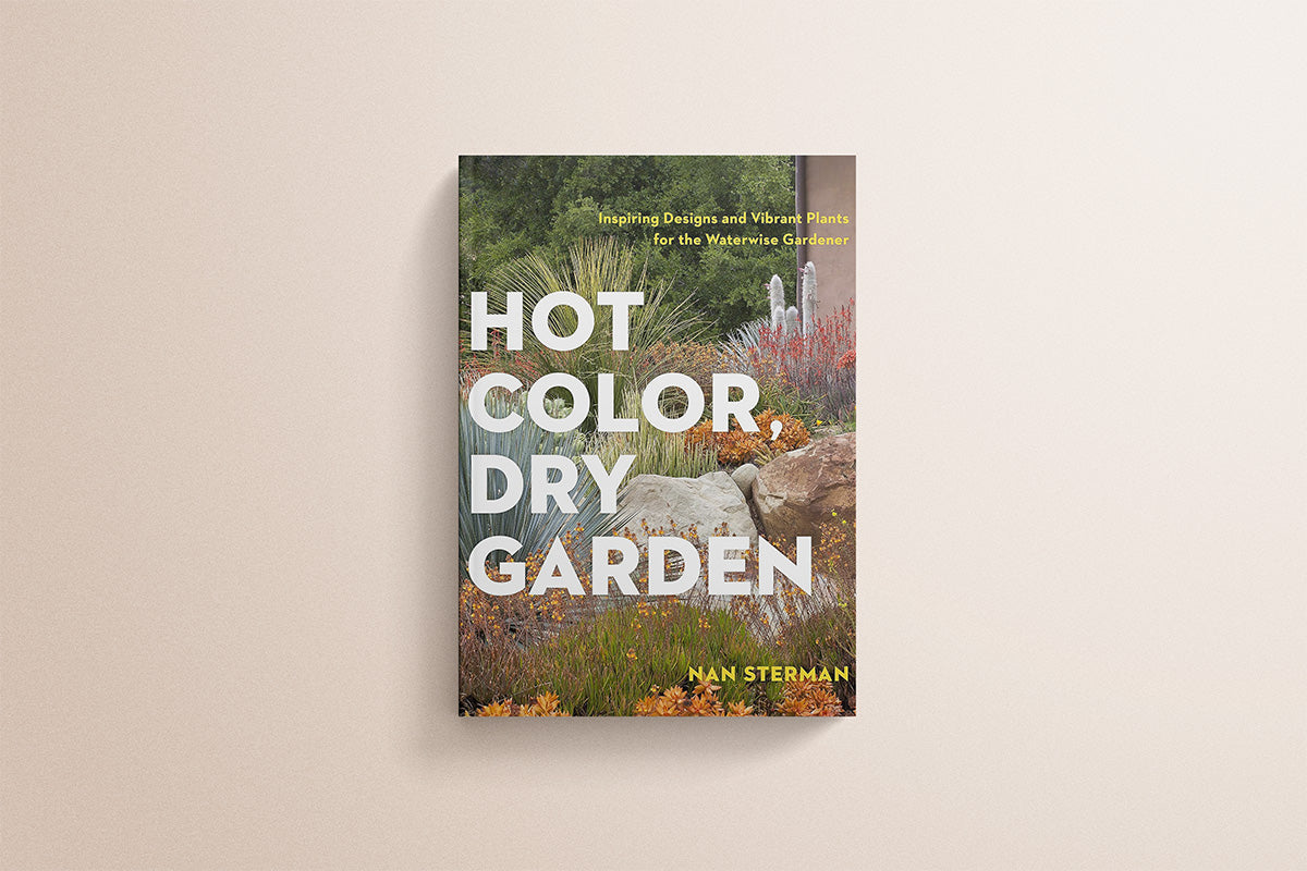 Hot Color, Dry Garden